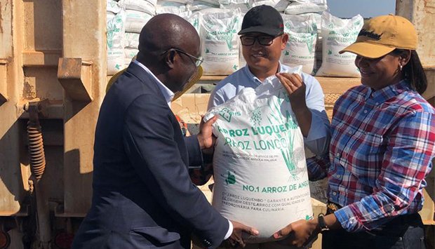 FAZENDA MARSIRIS É UM FORTE EXEMPLO NA CIDADEIA DE PRODUÇÃO DE ARROZ