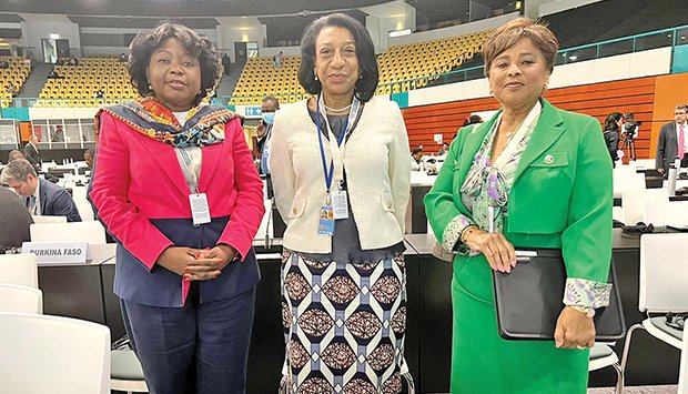 OCEANOS TÊM ANGOLA COMO VICE-PRESIDENTE