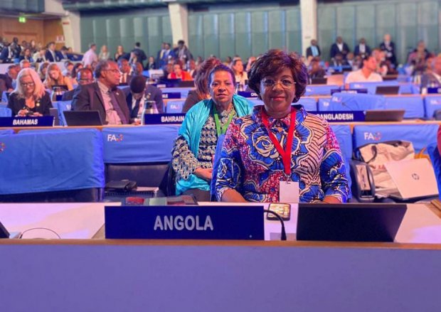 ANGOLA NA REUNIÃO DE BALANÇO DA CIMEIRA SOBRE SISTEMAS ALIMENTARES