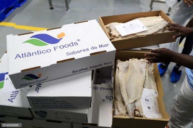 "BACALHAU" MADE IN ANGOLA QUER ESTIMULAR CONSUMO