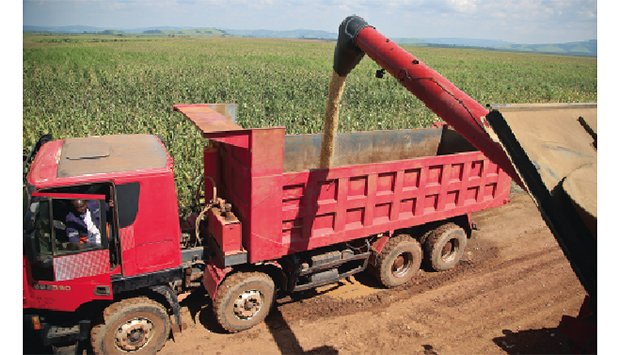 GOVERNO DISPONIBLIZA 153 MIL MILHÕES DE KWANZAS PARA PRODUÇÃO DE ALIMENTOS