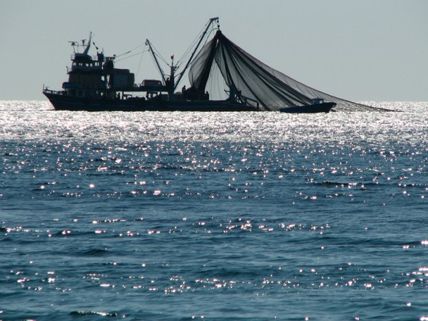 SECTOR DAS PESCAS APRESENTA INVESTIMENTOS