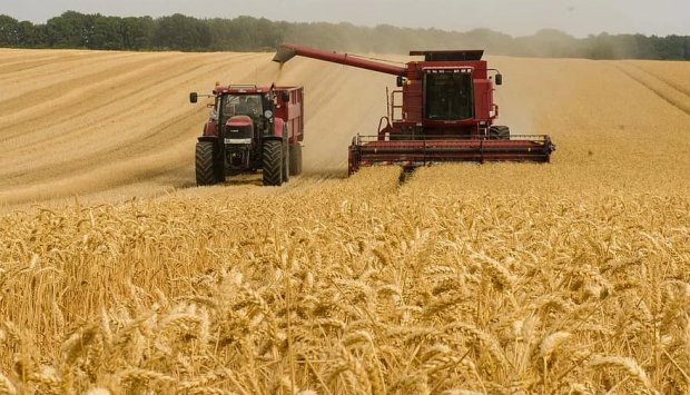 AGRICULTORES NO BIÉ  EXORTADOS  A PRODUZIR  TRIGO EM GRANDE ESCALA