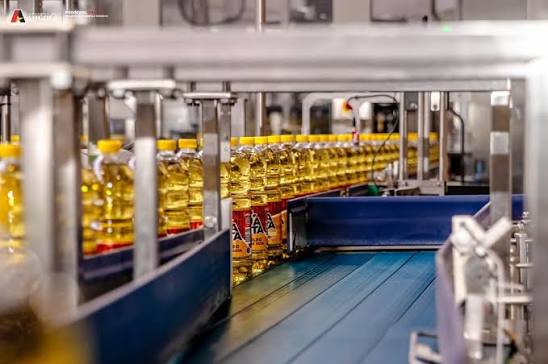 INDÚSTRIA TRANSFORMADORA APRESENTA SINAIS DE CRESCIMENTO ECONOMICO