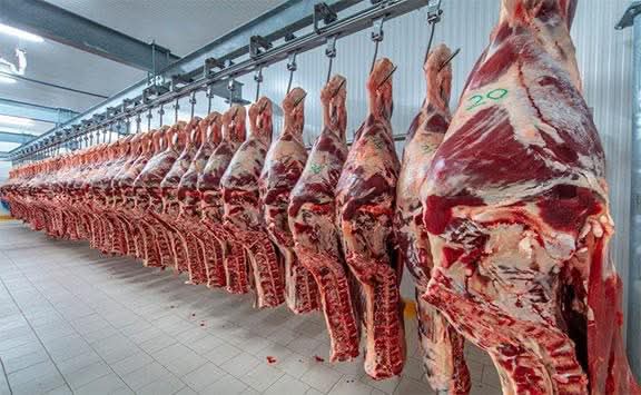 ANGOLA  REDUZ PELA METADE  IMPORTAÇÃO  DE CARNE BOVINA NOS ÚLTIMOS DOIS ANOS