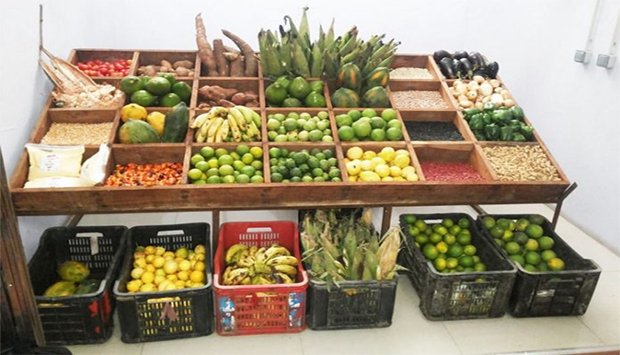 FEIRA DE PRODUTOS FEITOS NO PAÍS É ABERTA EM VIANA