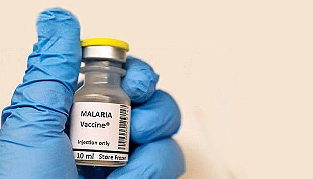 ANGOLA VAI INTRODUZIR VACINA CONTRA MALÁRIA A PARTIR DESTE ANO