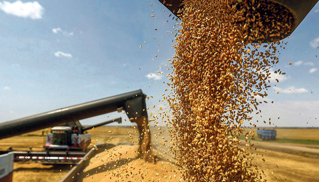 PAIS GASTA 791 MILHÕES DE DÓLARES  POR ANO PARA IMPORTAÇÃO DE GRÃOS