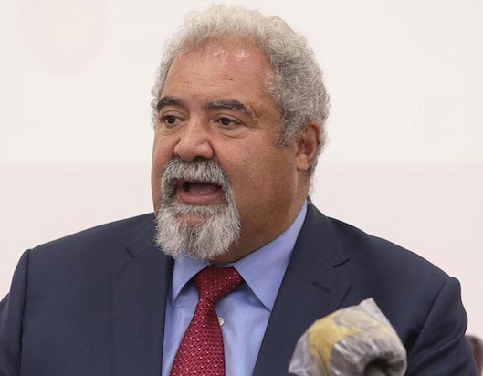 EMPRESÁRIOS ESTRANGEIROS PARTICIPAM NA EXPO- VIANA 2022