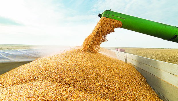 IGAPE CONCLUI PROCESSO DE PRIVATIZAÇÃO DA UNIDADE AGRO-INDUSTRIAL DO CUBAL