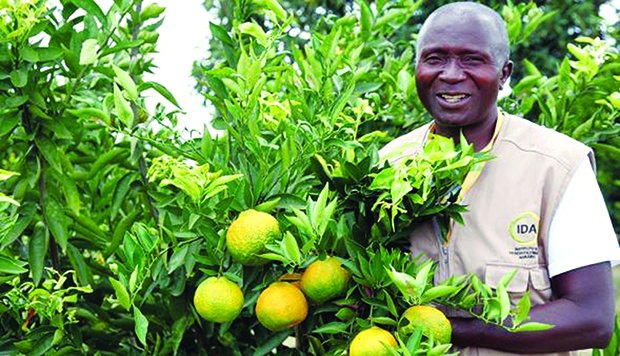 FRUTAS ENTRE PRODUTOS MAIS SOLICITADOS PARA EXPORTAÇÃO