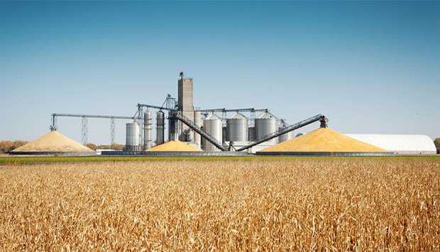 IGAPE REALIZA ESTE MÊS LEILÃO DE CINCO  SILOS